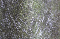 Hoo Green fibreglass roof work